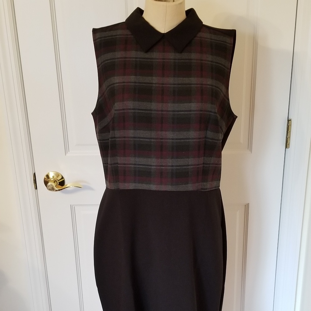 LOFT Collar Dress
